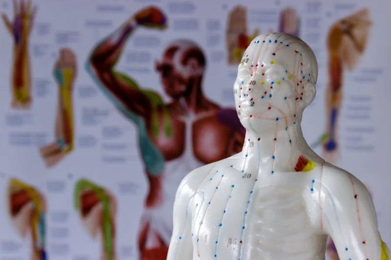 Eastern vs Western Medicine: How Do They Help Each Other?