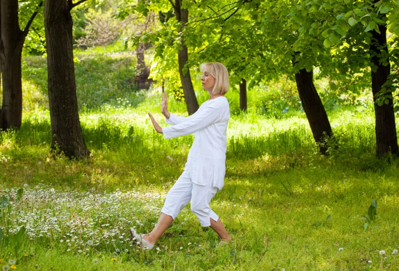 The Hidden Cost of “Collecting Forms” in Tai Chi Practice