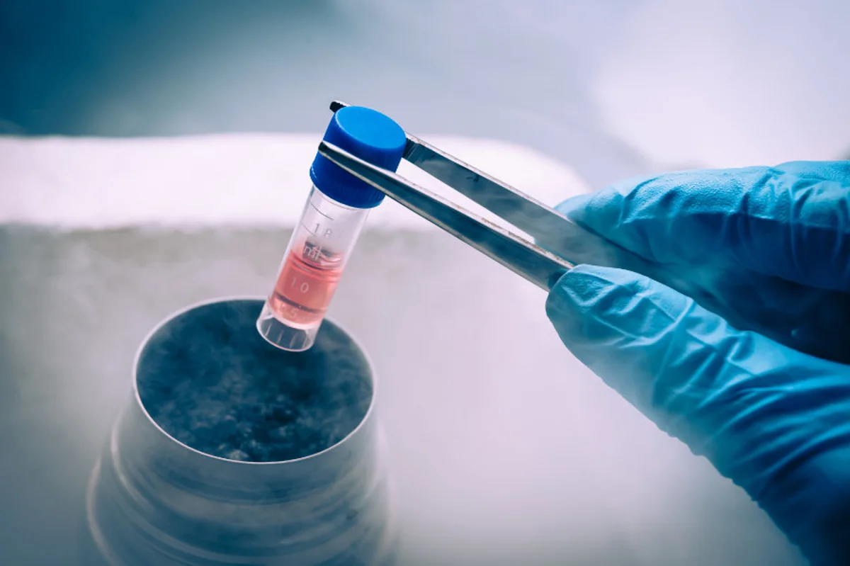 Top 6 Essential Questions Before Starting Human HCTP Treatment